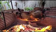 PNG Pig Roast