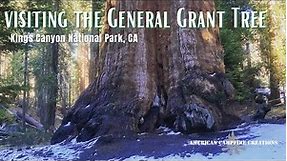 Visiting the General Grant Tree | Kings Canyon National Park, CA 🌲