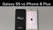Galaxy S9 vs iPhone 8 Plus TEST
