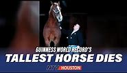 World's tallest horse dies at the age of 20 I GUINNESS WORLD RECORD