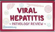 Viral hepatitis: Pathology Review