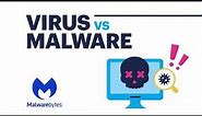 What is Malware? Malware vs. Virus - What's the Difference?