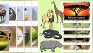 Printable Animal Display Pictures Cut-Out Pack