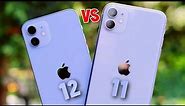 iPhone 12 Purple vs iPhone 11 Purple | iPhone 12 vs iPhone 11 | Should You Buy New Purple iPhone 12?