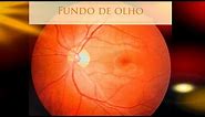 Fundo de olho pela oftalmoscopia direta - Mapeamento de retina