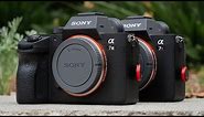 Sony a7III VS a7RIII User Experience Review - BEST Hybrid Mirrorless Cameras of 2019