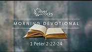 Morning Devotional - 1 Peter 2:22-24