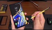 Samsung Galaxy Note 9 Review!