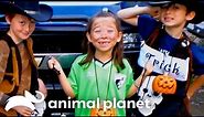 A Young Girl Is Infected With Rabies | Monsters Inside Me | Animal Planet