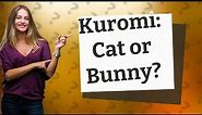 Is Kuromi a cat or a bunny?