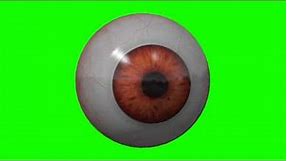 real human eye looking around in green screen