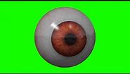 real human eye looking around in green screen