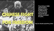 Chinese Fight for Freedom - The political and ethical implications of the Pingjiang Uprising..