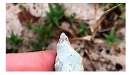 Found this unreal projectile point today #fyp #history #relics #nativeamerican #stonetools #explore | Stuart McKenzie