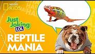 Reptile Mania | Just Joking—LOL