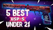 TOP 5 BEST USP-S SKINS IN CS:GO UNDER $2