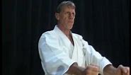 Shito Ryu Karate : Pinan Katas