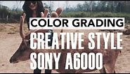 Color Grading Sony A6000 with Creative Style