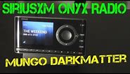 SiriusXM Onyx Satellite Radio Review