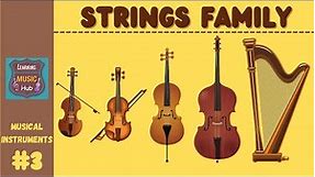 STRINGS FAMILY | INSTRUMENTS OF THE ORCHESTRA | LESSON #3 | LEARNING MUSIC HUB | ORCHESTRA