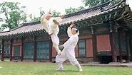 Taekkyeon - A Traditional Korean Martial Art