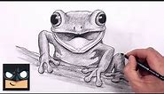 How To Draw Tree Frog | YouTube Studio Sketch Tutorial