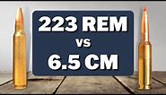 223 Remington vs 6.5 Creedmoor - Season 3 Episode 13