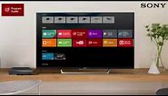 SONY Android TV : Built In Program Guide
