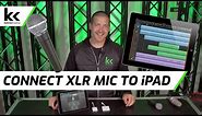 3 Ways To Connect XLR Mic To iPad