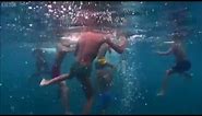 Bajau Laut Kids Dive 12 Meters