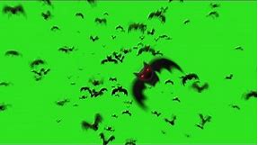 BEST 8 Bats Transition Animation Green Screen || By Green Pedia