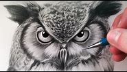 How to Draw an Owl