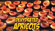 DIY How to make Dried Apricots / Dehydrated Apricots in Breville Smart Oven Air