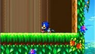 Sonic Advance sprite found in-game Sonic Rush e3 Beta