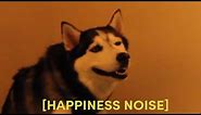 HILARIOUS Husky Sneeze | Happiness Noise Meme Compilation