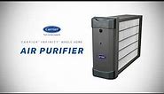 Carrier® Infinity® Air Purifier