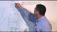 How Cancer Spreads (Metastasis) - Michael Henry, PhD