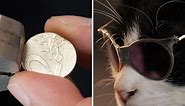 Handmade cat glasses from an ordinary coin. 😻