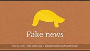 When in doubt, check it out: stopping the spread of false information (French subtitles)