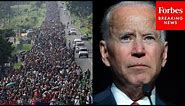 Biden Is 'The First President In The History Of This Nation' To Do This On Border: Tom Homan