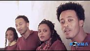 |Eritrean Music| Ermias Kiflezgi - Meteabitey DC- 2016 Official Music Video