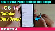 iPhone iOS 14: How to View Cellular Data Usage