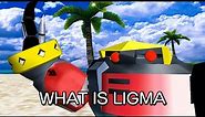What is ligma
