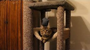 How to DIY heavy Duty Cat Tree - Tower - Climber for a Maine Coon cat