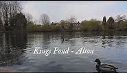 Kings Pond - Alton
