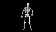 dancing skeleton meme but in hd