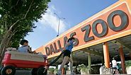 Timeline: String of suspicious incidents under investigation at Dallas Zoo