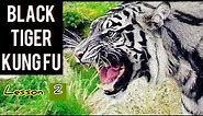 Black tiger Kung fu for beginners lesson 2 / top 10 fighting techniques for defense and attacks / 虎拳