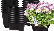 50 Pcs 0.5 Gallon Black Plastic Plant Nursery Pots 6 Inches Seed Starting Pots Containers with 50 Labels