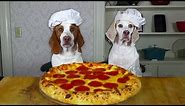 Dogs Make Pizza: Funny Chef Dog Maymo & Potpie Cook Pizza!